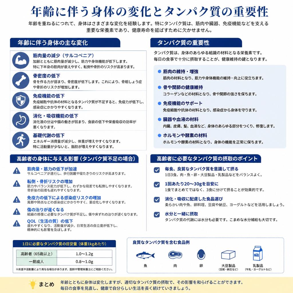 年齢とともに変化する身体とタンパク質の関係